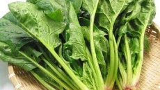 🥬 Cải Bó Xôi – Siêu Thực Phẩm Xanh Cho Sức Khỏe Toàn Diện