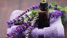 💜 Tinh Dầu Oải Hương – Liệu Pháp Thiên Nhiên Cho Tâm Hồn, Làn Da Và Sức Khỏe