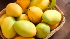 🥭 Xoài – "Vua Trái Cây Nhiệt Đới" Với Công Dụng Vượt Xa Vị Ngon