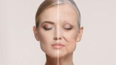 🧬 Chống Lão Hóa Bằng Dinh Dưỡng – Collagen, Thực Vật và Giải Pháp Từ Gốc