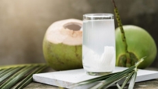 Dừa – Siêu thực phẩm nhiệt đới cho sức khỏe và sắc đẹp