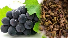 🍇 Hạt Nho và Chiết Xuất Hạt Nho – “Thần Dược” Chống Lão Hóa Từ Tự Nhiên