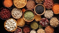 Khám phá thế giới đậu và hạt: Siêu thực phẩm cho mọi gia đình