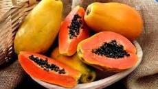 Đu Đủ – Thần Dược Từ Thiên Nhiên Cho Sức Khỏe Và Làn Da