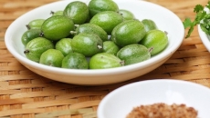 Quả Nhót – Từ Món Quà Tuổi Thơ Đến Ẩm Thực Sáng Tạo: 15 Món Ngon Từ Quả Nhót Không Thể Bỏ Qua