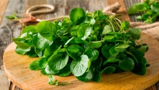 Cải xoong – Rau thủy sinh thanh mát, chống viêm, ngừa bệnh mạn tính