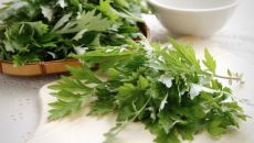 10 Món Ăn Ngon Từ Ngải Cứu – Dễ Làm, Tốt Cho Sức Khỏe