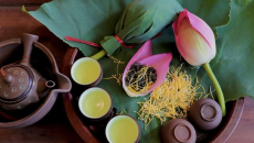 TRÀ HOA SEN & CÁC BÀI THUỐC DÂN GIAN: THANH TÂM, AN THẦN, GIẢM STRESS TỪ THIÊN NHIÊN