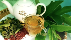 TRÀ LÁ ỔI – THỨC UỐNG TRUYỀN THỐNG GIÚP ỔN ĐỊNH ĐƯỜNG HUYẾT VÀ TĂNG CƯỜNG SỨC KHỎE