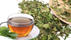TRÀ DÂY THÌA CANH – DƯỢC TRÀ HỖ TRỢ ĐIỀU HÒA ĐƯỜNG HUYẾT VÀ CHUYỂN HÓA TỰ NHIÊN