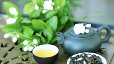 TRÀ RỄ CỎ TRANH – THANH NHIỆT, MÁT GAN, HỖ TRỢ ĐƯỜNG TIẾT NIỆU TỰ NHIÊN