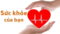 🛡️ 10 Bệnh Lý Phổ Biến Hiện Nay và Giải Pháp Phòng Ngừa Hiệu Quả Bằng Dinh Dưỡng & Lối Sống