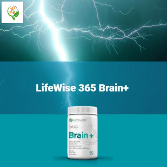 LifeWise 365 Brain Hỗ Trợ Chức Năng Não Giảm Căng Thẵng Lưu Thông Máu