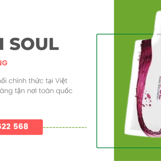 Rain Soul Mỹ