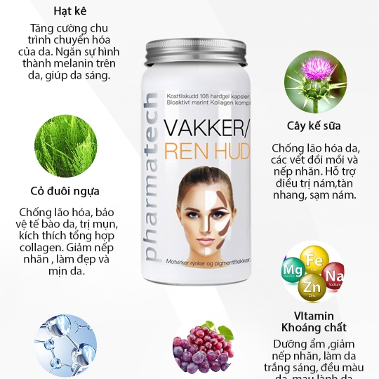 VIÊN UỐNG VAKKER/REN HUD PHARMATECH HỖ TRỢ CẢI THIỆN VÀ CHĂM SÓC SẮC ĐẸP [CÓ SỈ VÀ LẺ TOÀN QUỐC]